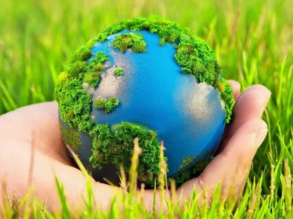 Отличие окружающей среды от окружающей природы