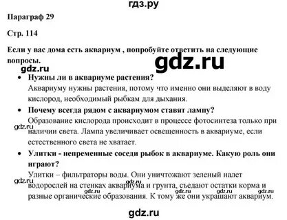 Биология 5 класс параграф 26 краткий пересказ