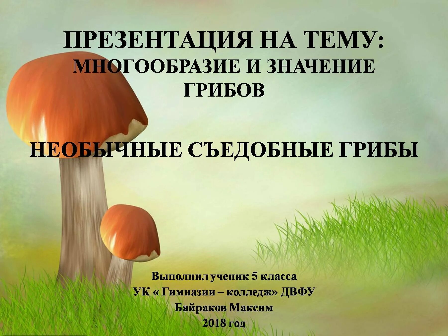 Многообразие и значение грибов 5 класс презентация. Грибы презентация. Грибы презентация для детей. Тема грибов для презентации. Многообразие грибов.