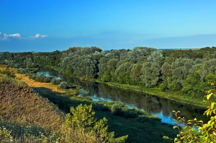 Речка ворона. Река ворона в Уварово. Ворона (приток Хопра). Ворона (приток Хопра) реки Воронежской области. Река Хопер ворона.