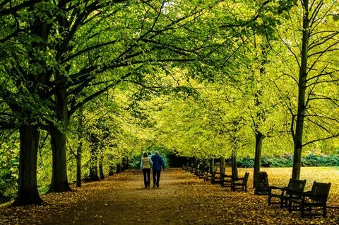 He walk in the park now