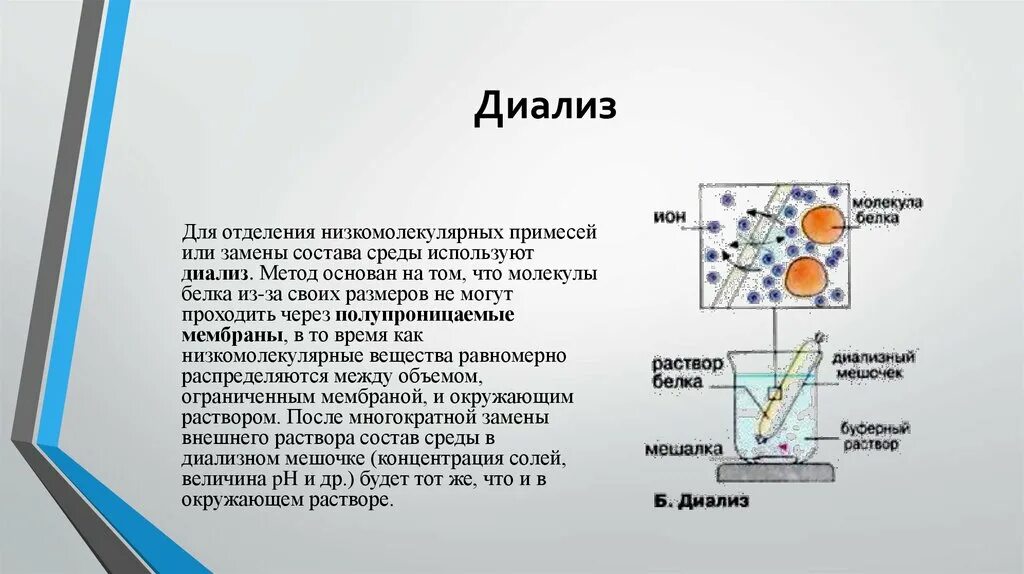 Диализ белков. Диализ суть метода. Очистка белков от низкомолекулярных примесей методом диализа. Методы очистки белков диализ. Диализ принцип метода.