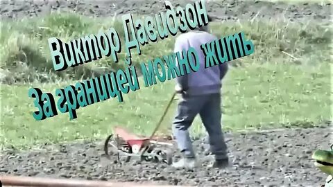 За границей можно давидзон