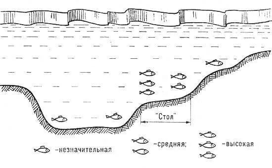 Виды дна реки. Рельеф дна бровка. схема дна для ловли на фидер. стоянки леща на реке летом. как определить рельеф дна для фидерной ловли.