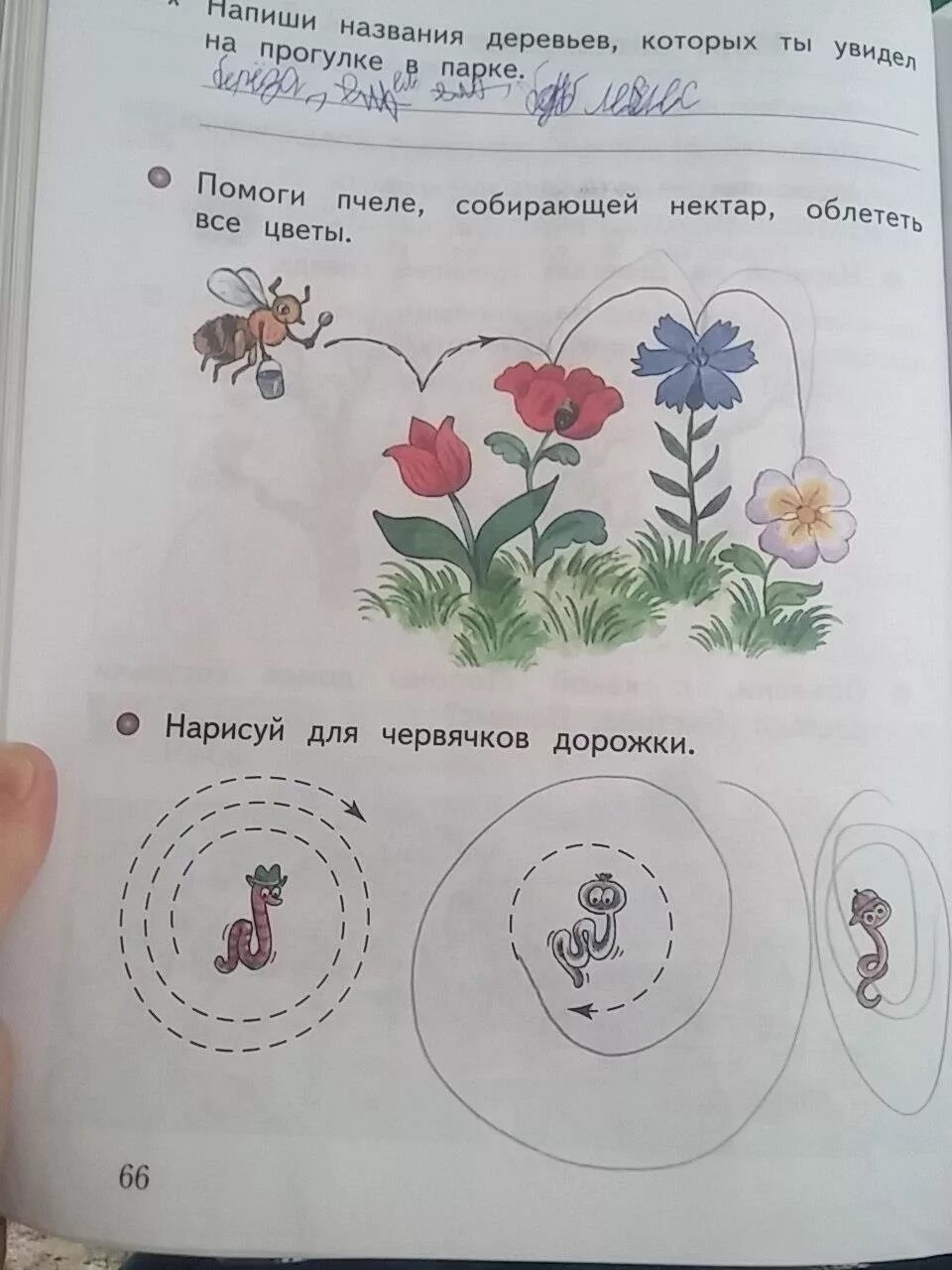 Мир 1 класс номер 4 страница 8. Окружающий мир 1 класс рабочая тетрадь 1 часть стр 66. Окружающий мир 1 класс рабочая тетрадь 1 часть 66. Окружающий мир. 1 Класс. Рабочая тетрадь.. Виноградова окружающий мир 1 класс рабочая тетрадь с21.