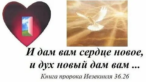 Новое сердце