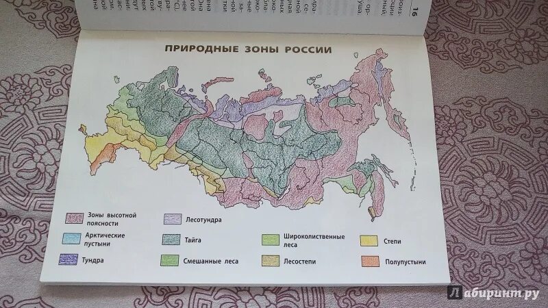 распределите растительность по природным зонам. с севера на юг окружающий мир 4 класс. задание рассели животных по природным зонам. плакат на тему степь. карта мира природные зоны мира.