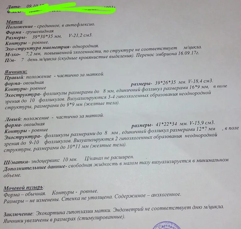 УЗИ протокол для эко. УЗИ после переноса эмбрионов. Протокол переноса эмбрионов.