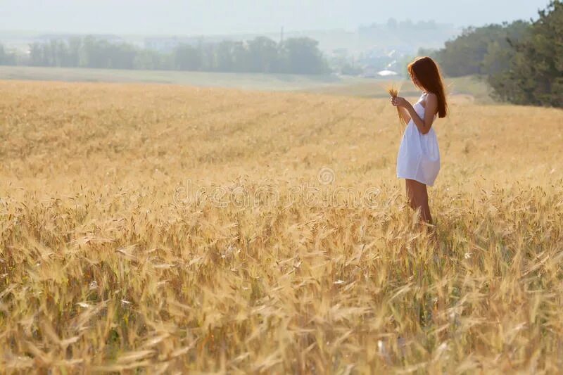 Фотосессия в кукурузном поле идеи. Девушка в кукурузном поле со спины. Фото в кукурузном поле девушка. Русская девушка на кукурузном поле. Подумайте 7 раз