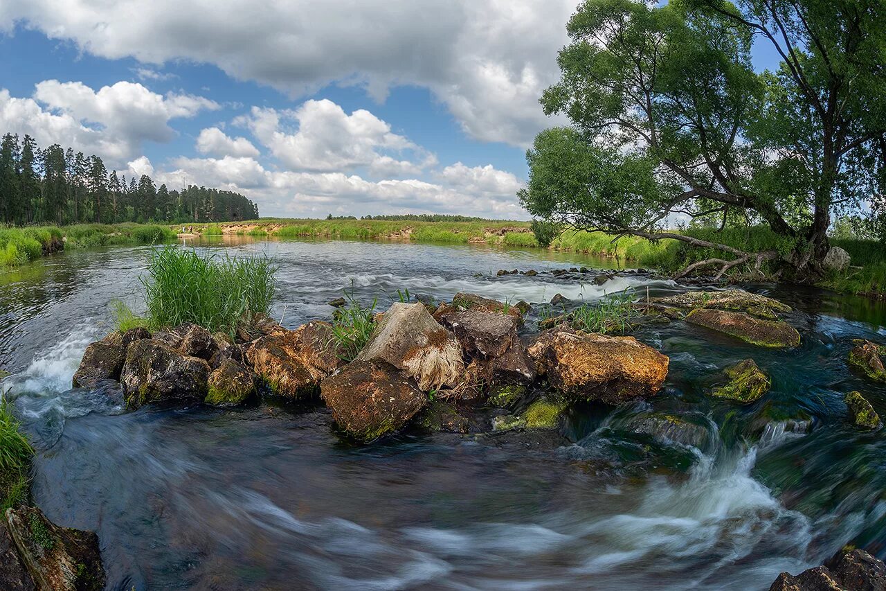 Водные богатства владимирской области. Река Судогда Владимирская область. Река Судогда Судогодский район. Судогда (река) реки Владимирской области. Река Судогда, Владимирская обл..