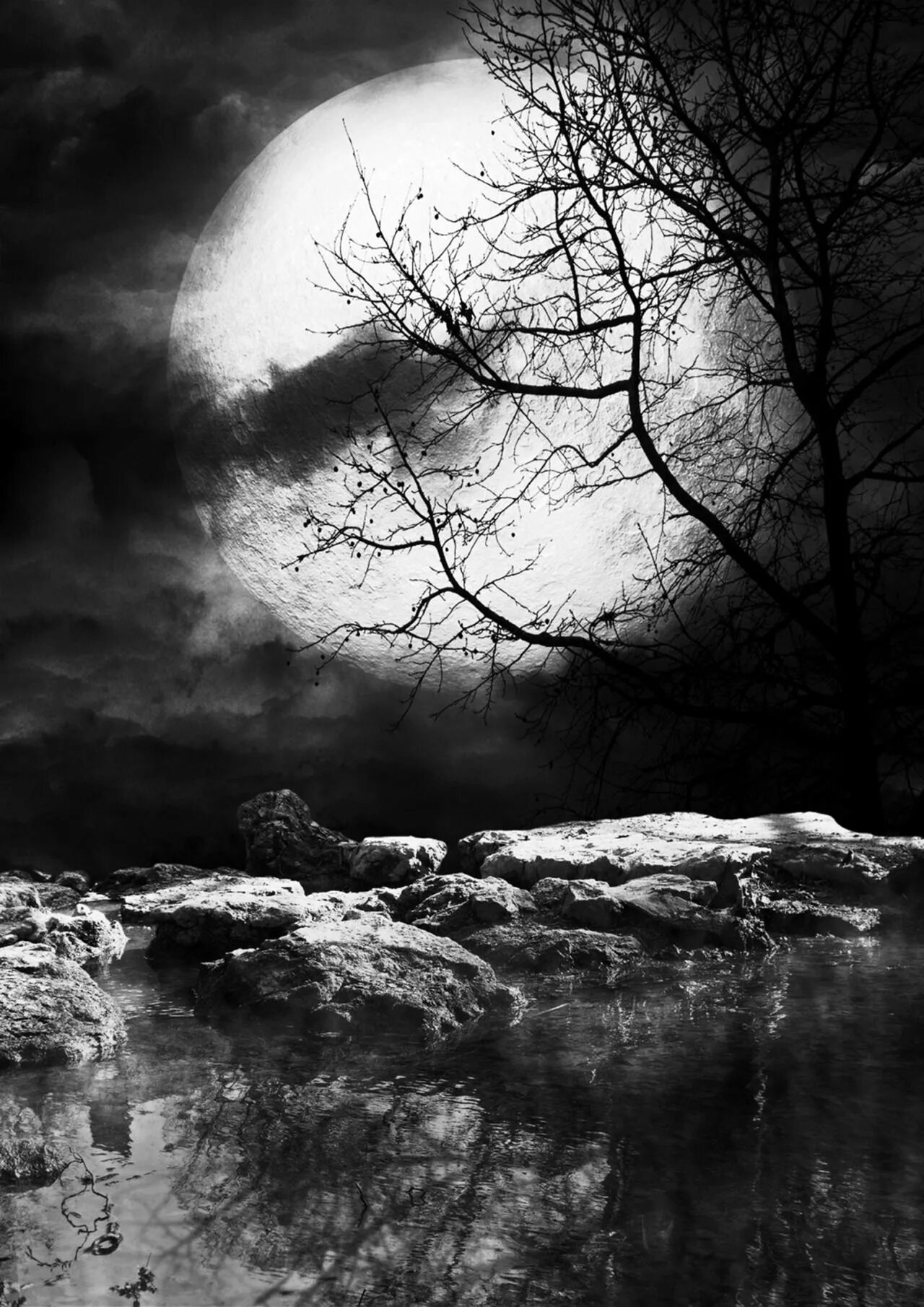 Тихий мрак. Тихий мрак. Тихий мрак. Страшный лес. Темный лес.