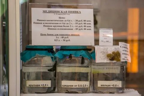 Медицинские пиявки москва