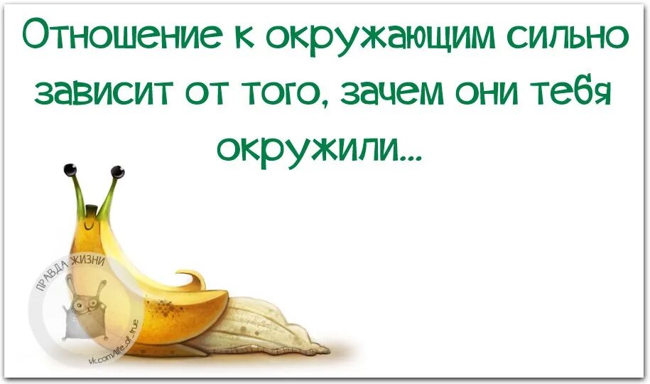 Отношение к окружающим зависит от того зачем они тебя окружили. Отношение к окружающим сильно зависит от того зачем они тебя. Отношение к окружающим сильно зависит зачем они. Отношение к окружающим сильно зависит чем они тебя окружили.