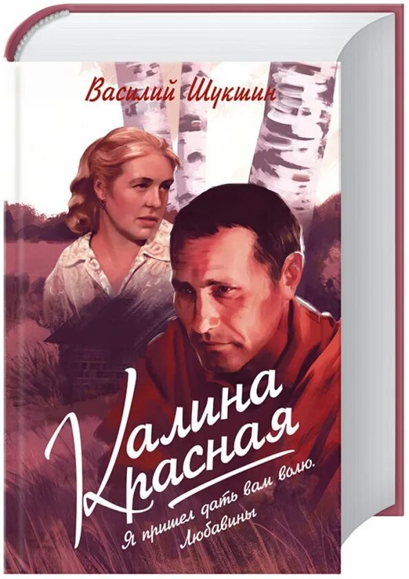 Поставь калина красная. Шукшин в. Поставь калина красная. "калина красная". Поставь калина красная.