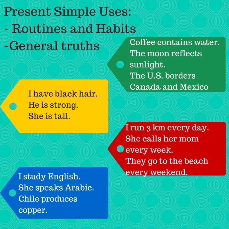 Present simple fact. Present simple факты. Презент Симпл Routine. General Truth present simple. Facts for present simple.