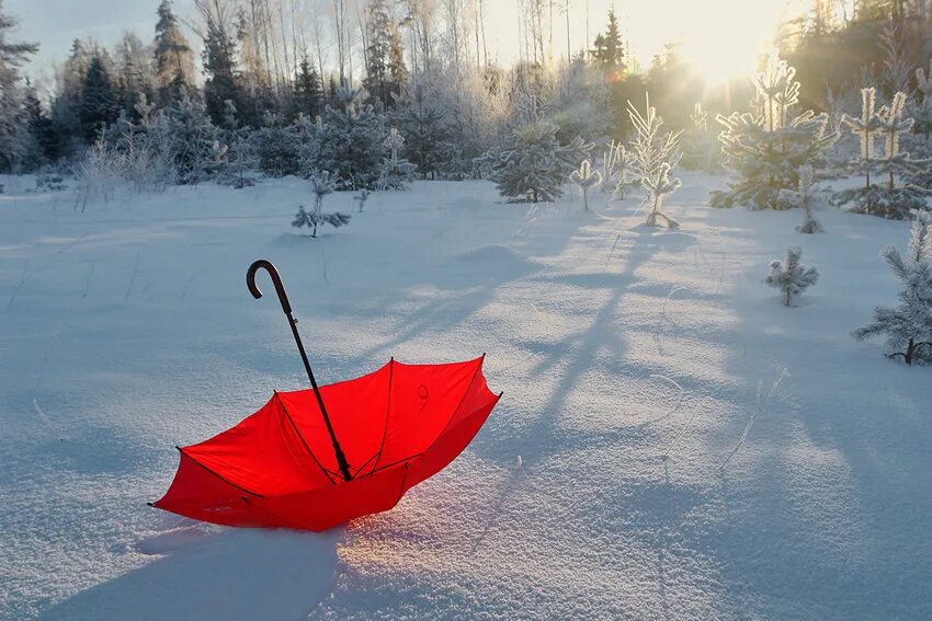 зонт на снегу. зонтик под снегом. зимний зонтик. снегопад зонт. снег с дождем.