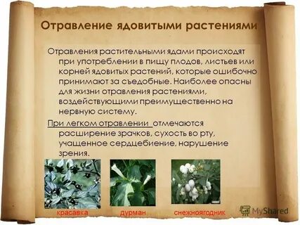 Нейтрализующий яд