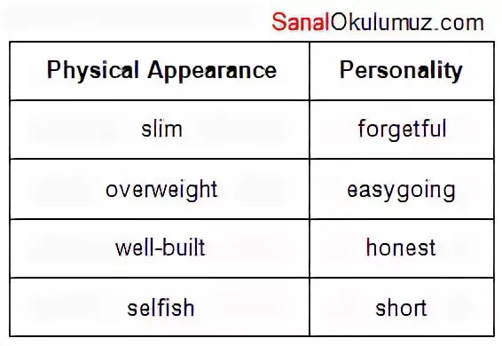 Test appearance and character ответы. Appearance and personality.
