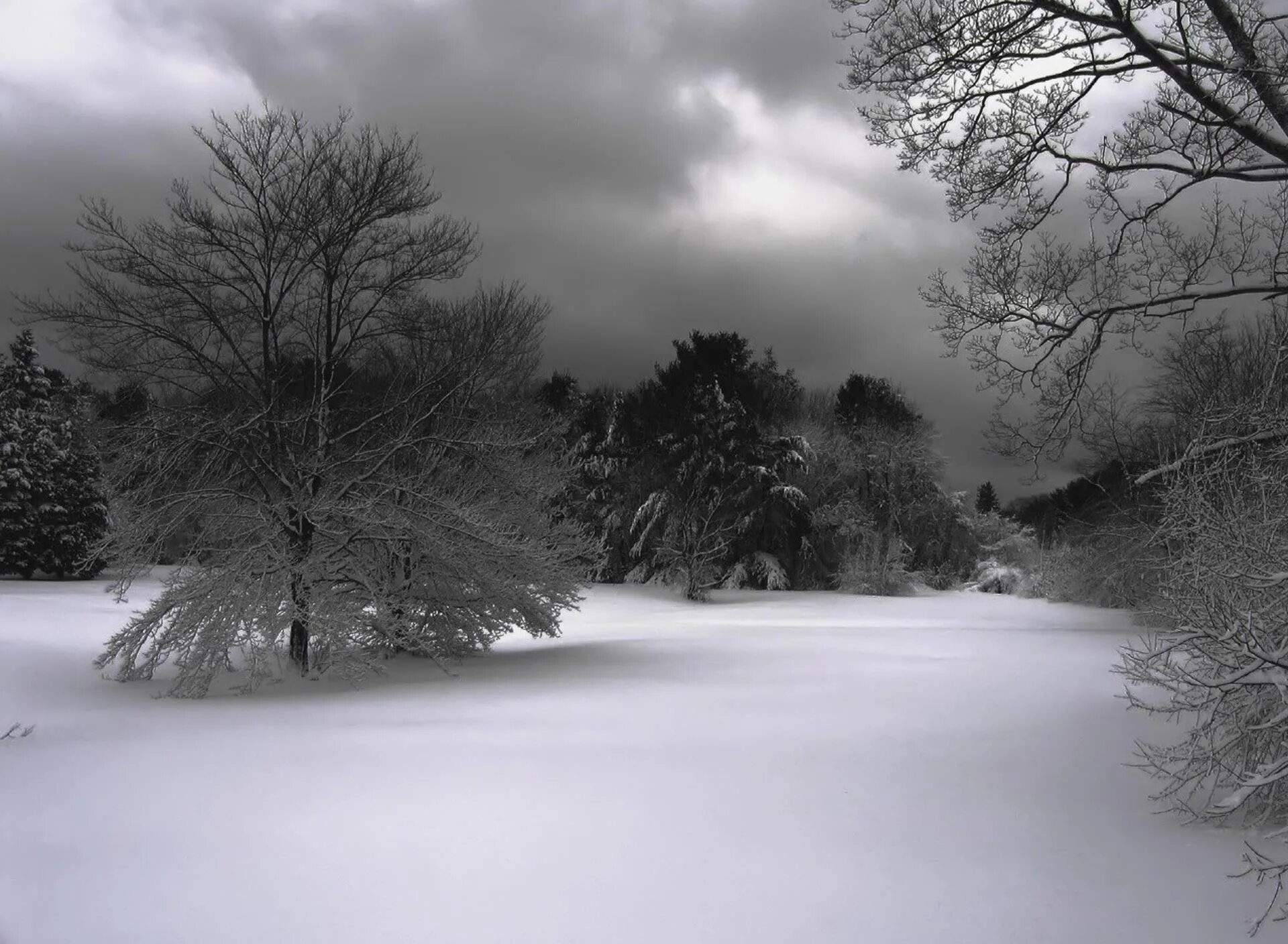 Туман. Зимний лес. Winter brume. Туман чемист. Небо зима.