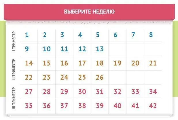 Как считать 3 недели. Календарь беременности. Беременный календарь. Календарь недель беременности. Календарь беременности поинеднлям.