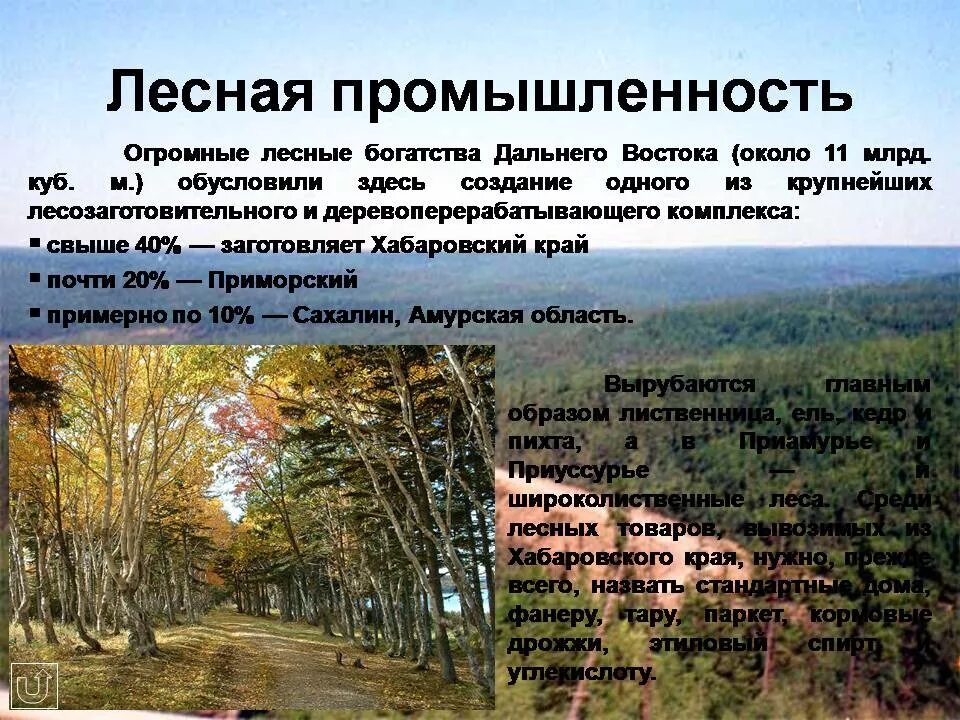 Создавая образ дальнего востока дополните предложение. Лесная промышленность дальнего востока. хозяйство дальний восток лесная промышленность. презентация на тему приморский край. презентация на тему дальний восток.
