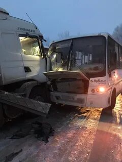 Автобус вологда грибково