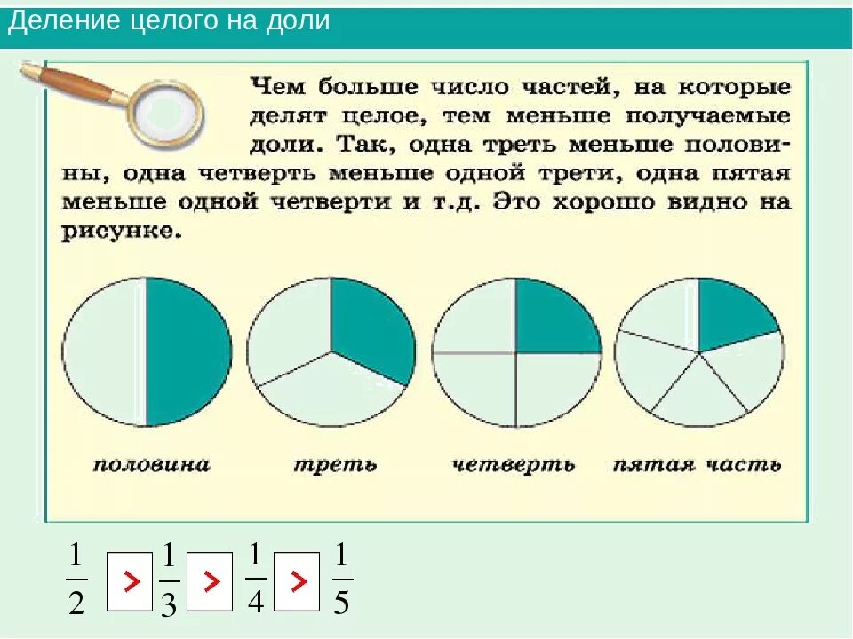 Менее пяти это сколько. Как делится квартира по долям. Как делятся доли в квартире. Деление долей в квартире. Как делить доли.