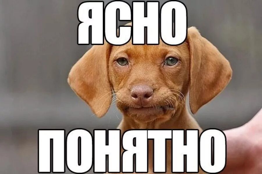 Ясно понятно. Ясно Мем. Ясно понятно картинка. Понятно прикол