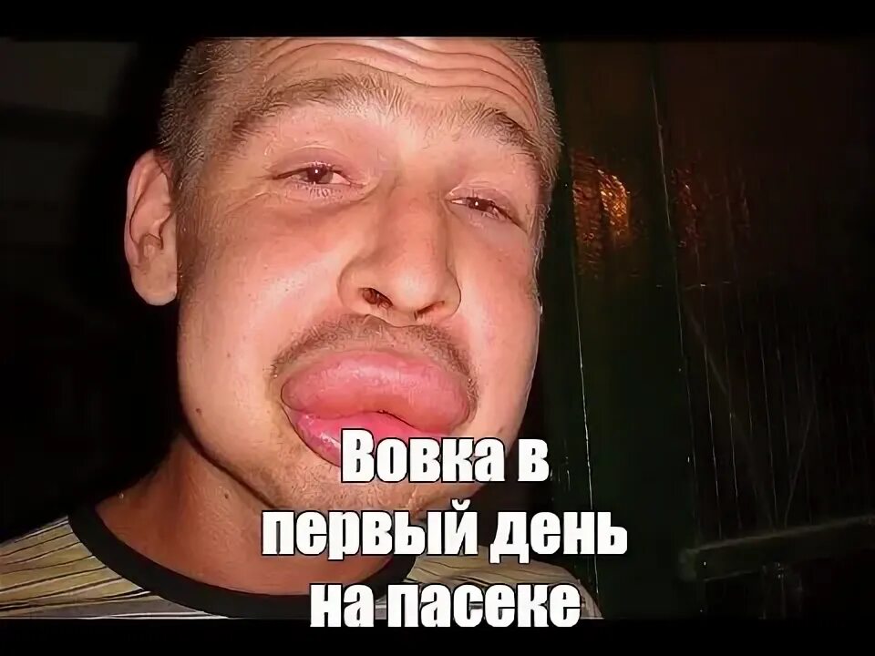 Мем укусила пчела. Мем укусила пчела