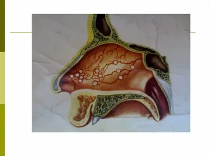 Жалаңаш брюнеткалардың үйдегі фотосуреттері