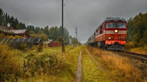 Бушевец бологое
