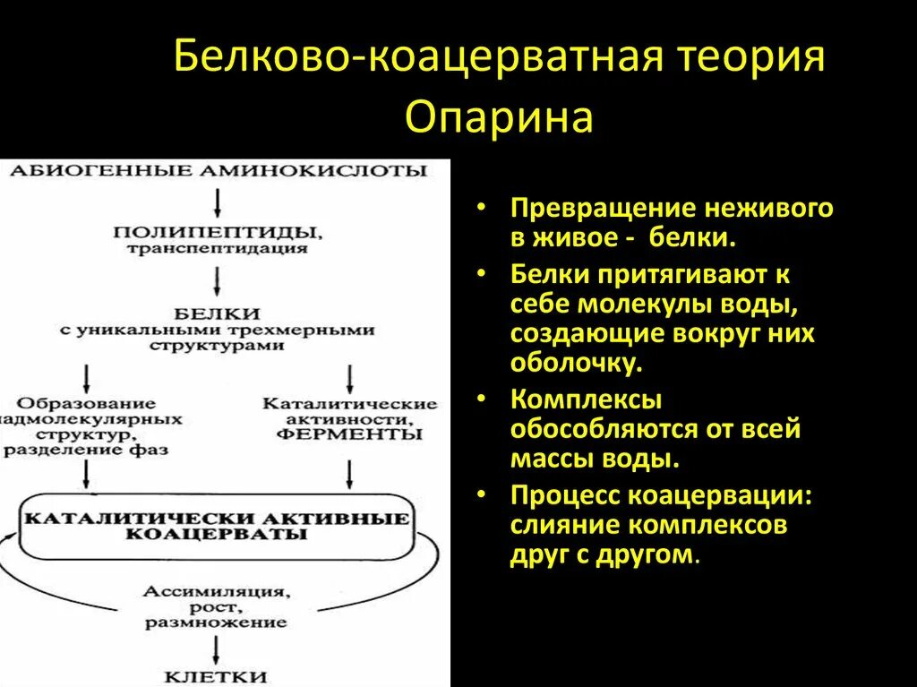Этапы возникновения жизни на земле по опарину. Опарин коацерватная теория. коацерватная теория возникновения жизни а.и.опарина. белково-коацерватная теория опарина схема. белково-коацерватная теория происхождения жизни.