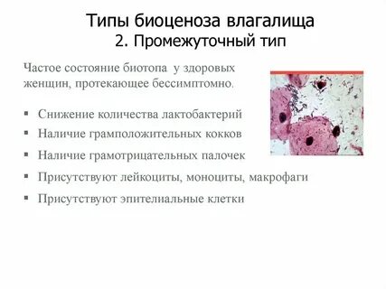 Атрофический тип мазка лечение после 60 лет