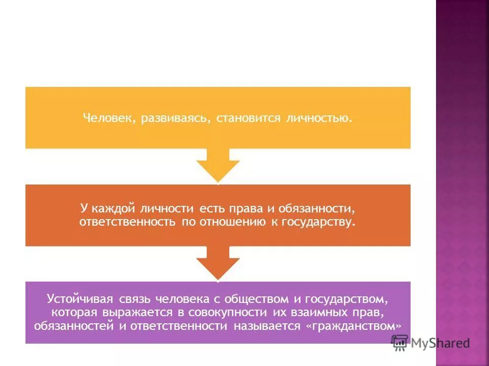 Основные принципы гражданства рф схема. Гражданство презентация. Устойчивая связь гражданина с государством. О гражданстве рф. Гражданство устойчивая связь.