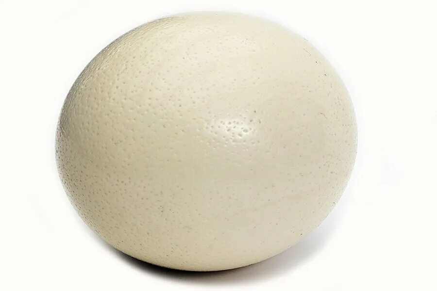 Suskvmy eggs. Яйцо (пищевой продукт). Яйца готовые. Egg asslock. Страусиное яйцо.