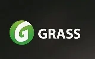 Grass dt