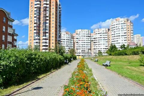 Митино москва отзывы