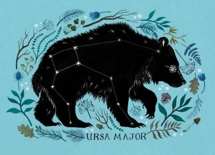 Ведомство медведица. Большая Медведица (Ursa Major). Созвездие медведя. Медведицы большой арт. Созвездие большой медведицы арт.