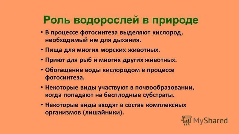 Водоросли проверочное