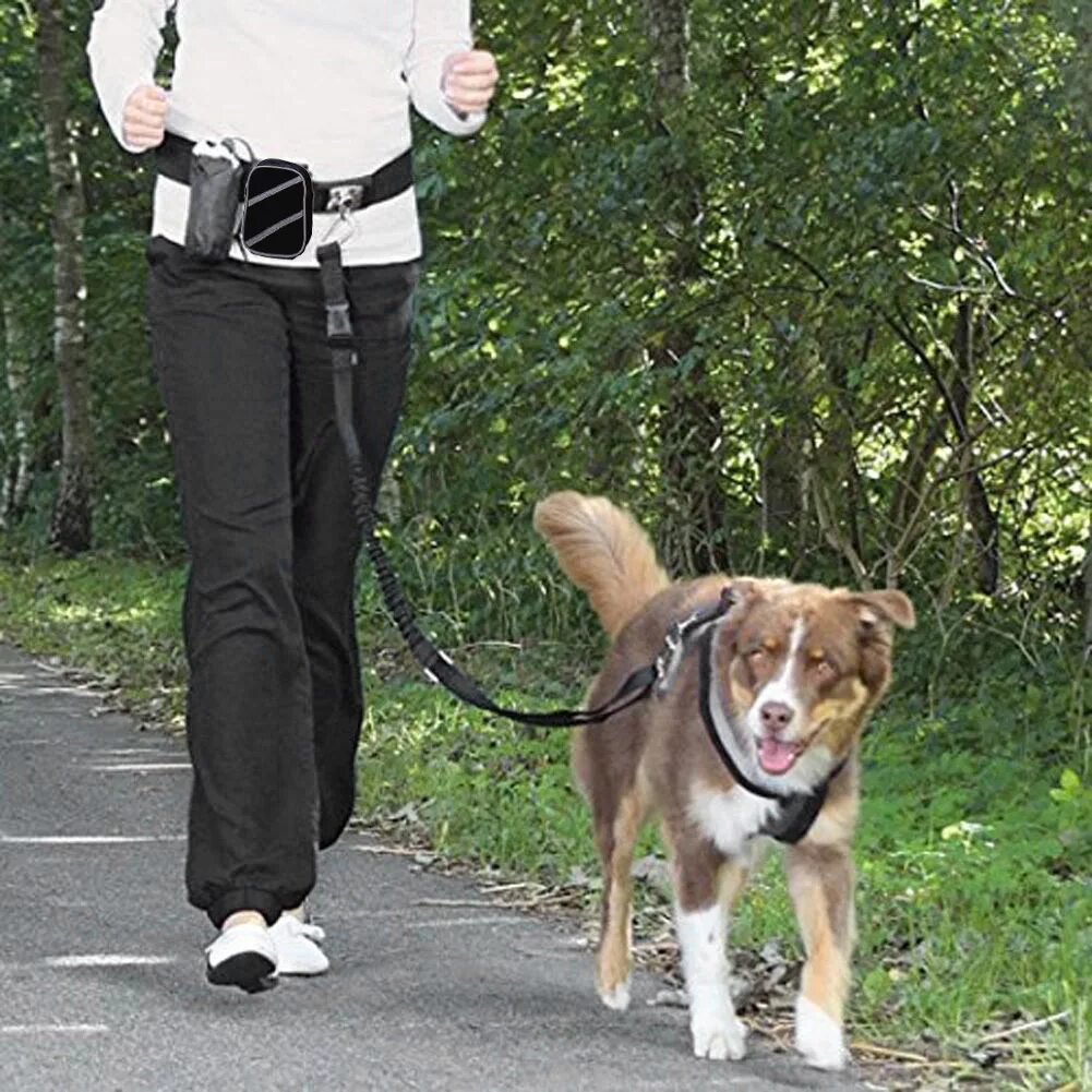 Пояс для бега с собакой. Одежда для выгула собак. Собачка на прогулке. Человек выгуливает собаку. Девочка выгуливает собаку.