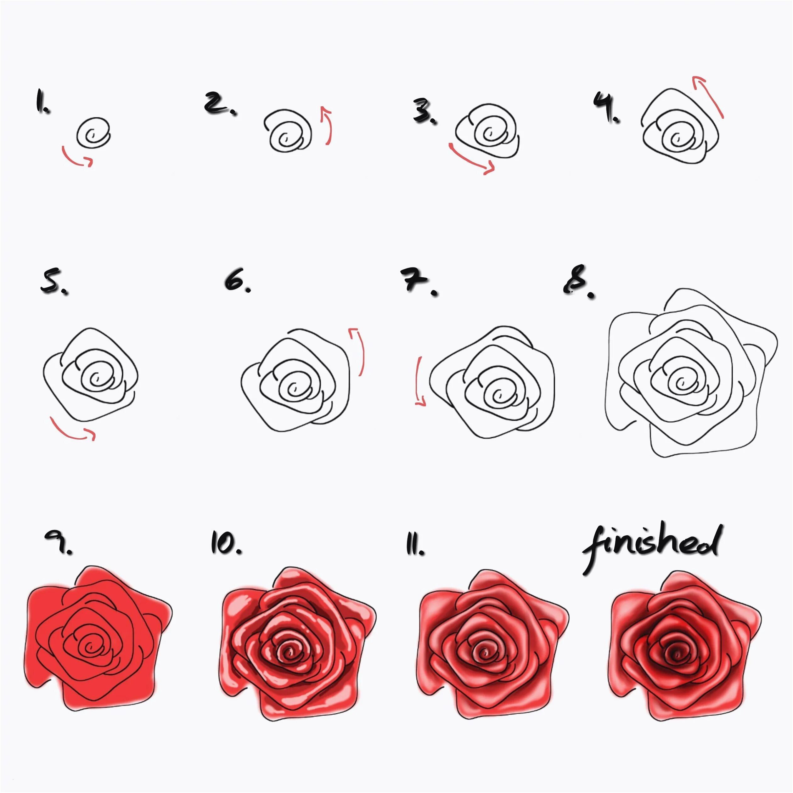 Поэтапное рисование розы. Поэтапное рисование розы карандашом. Букет поэтапное рисование