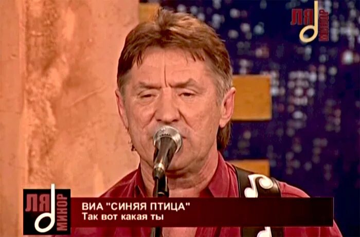 Так вот какая ты синяя птица песня. Состав синяя птица 1977. Синяя птица сергея арабаджи. Так вот какая ты синяя птица песня. Так вот какая ты синяя птица песня.