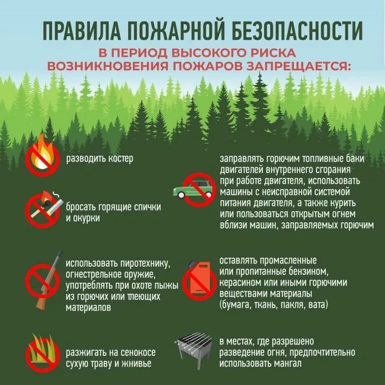 Разведение открытого огня и использование. Пожарная безопасность в лесу. Соблюдайте правил пожарной безопасности в лесу. Противопожарные правила в лесу. Пожарная безопасность в лесу памятка.