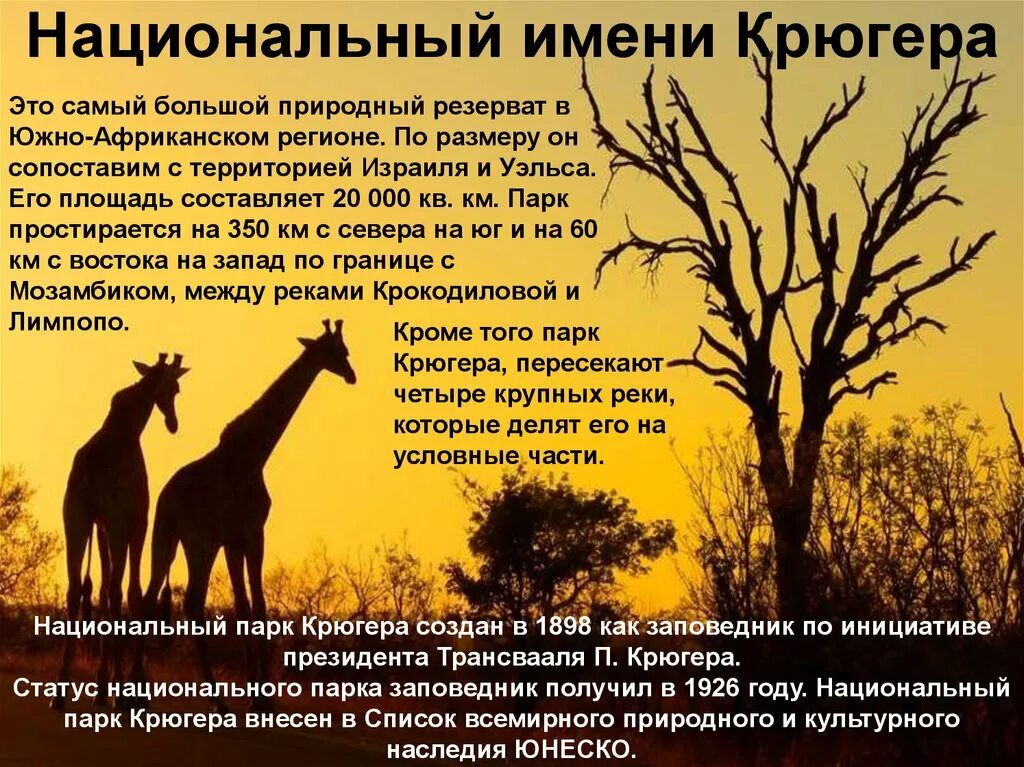 Статус национального парка. Национальный парк Крюгера презентация. Заповедники и национальные парки Африки. Национальные парки Африки парк Крюгера. Доклад о национальном парке Африки.