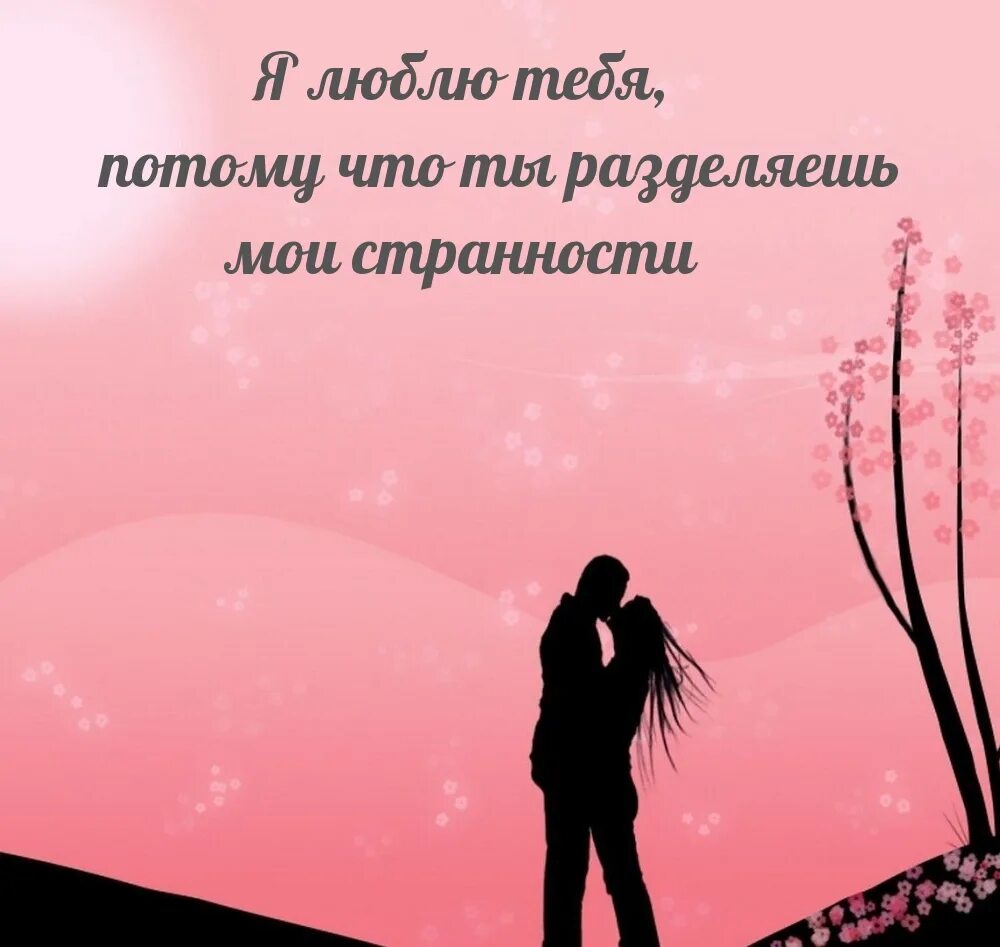 Слушать я жизнь с тобою разделю