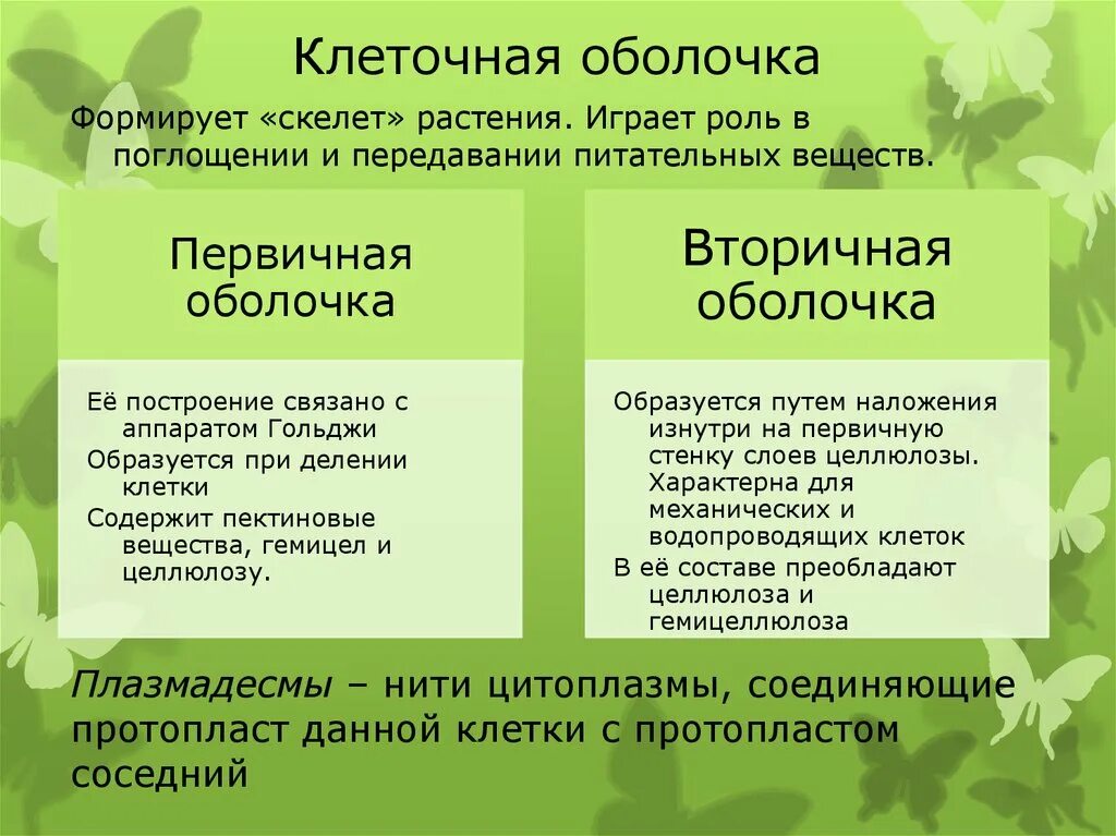 Первичная клеточная оболочка строение. Строение первичной клеточной оболочки растительной клетки. Строение первичной оболочки растительной клетки.. Первичная и вторичная оболочка.