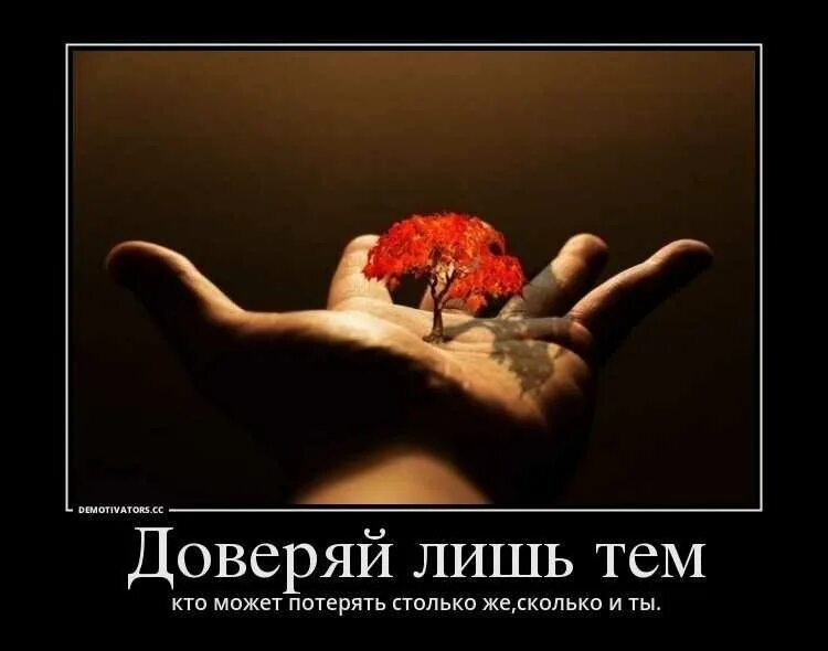 И многого другого но некоторые