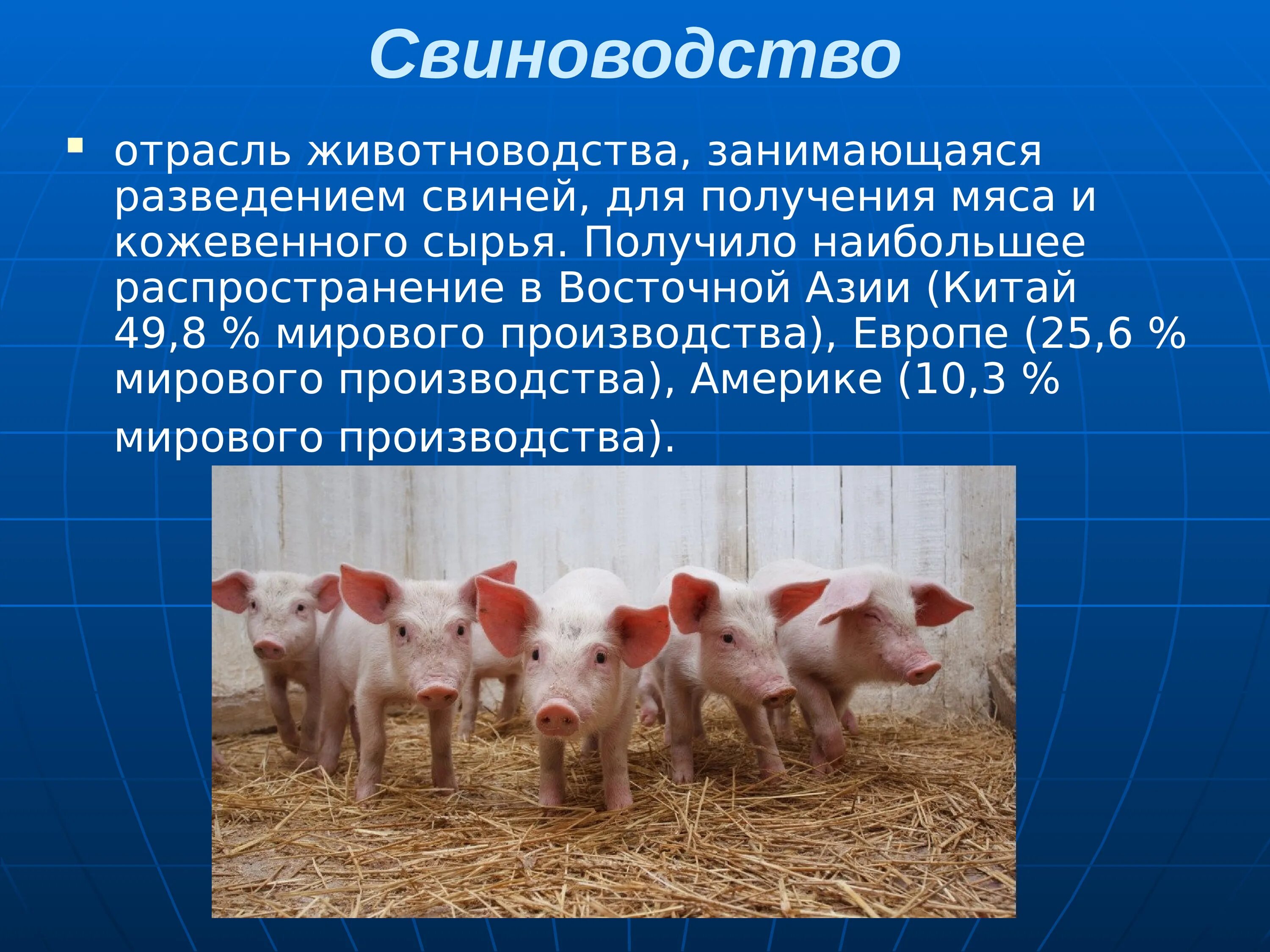 Название отрасли животноводства. Сельское хозяйство животноводство. Животноводство презентация. Отрасли животноводства. Животноводство свиноводство.
