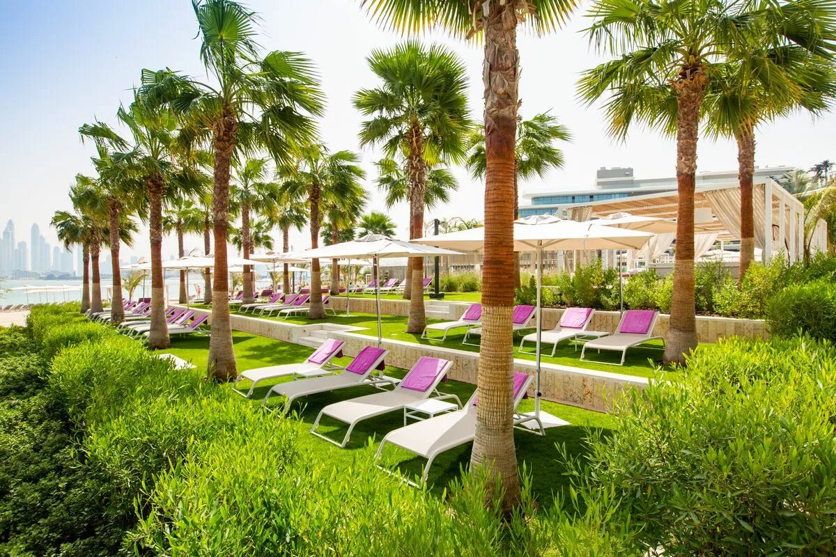Оаэ. The palm jumeirah w dubai 5 deluxe. W dubai the palm 5 пальма джумейра. W dubai - the palm. W the palm 5.