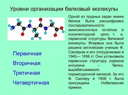 Первичный уровень предприятия